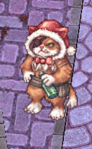 NPC Diaria Natal.png